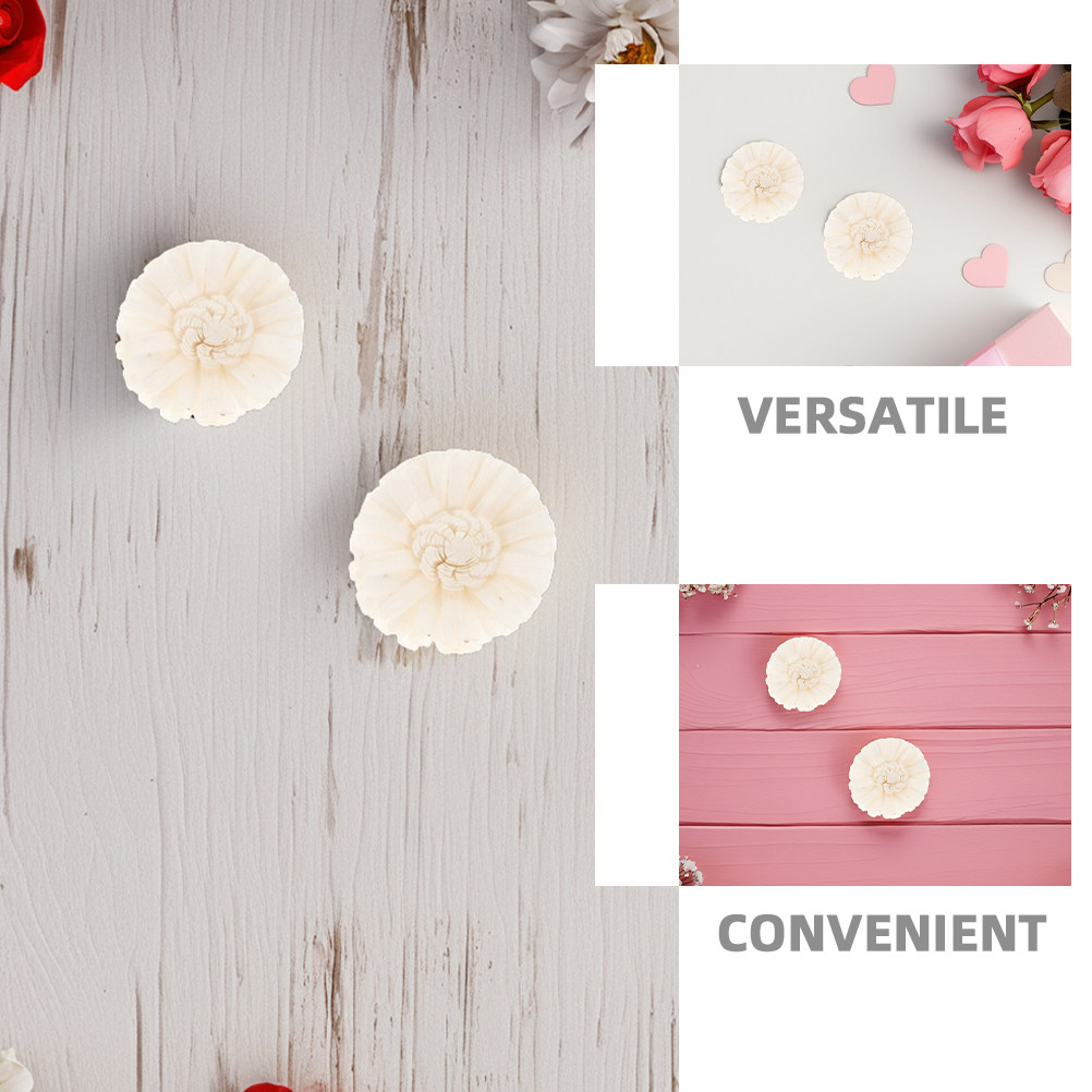 8Pcs Flameless Chrysanthemum F - Home Fragrance Usa ulasan dan harga
