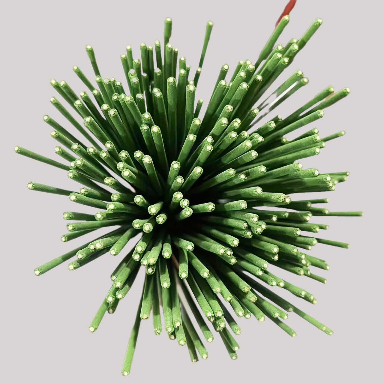 Reed Diffuser Sticks Lemongras - Home Fragrance Oud ulasan dan harga